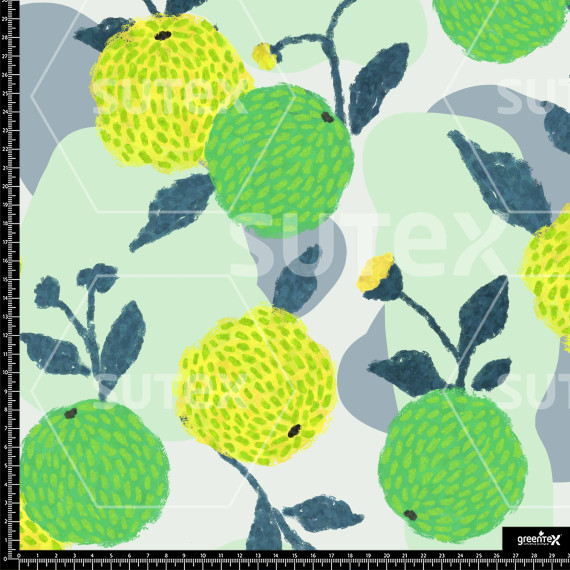 363503 PINTURA FRUTAL 2 ML