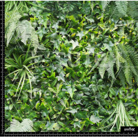 361365 AR TROPICFULL AR