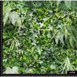 361365 AR TROPICFULL AR