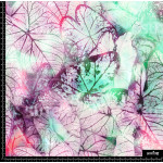 363143 AR NATURE COLORS AR