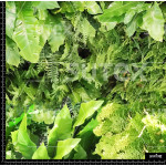 363255 AR PLANTALES AR