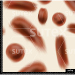 356751 AR DESTELLOS CLASS AR