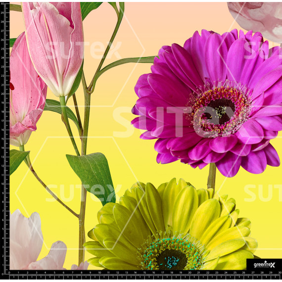 359260 AR MAXI FLORES 02 AR