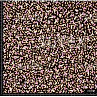 361322 PRINT MINIS Z