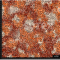 362294 MANCHAS PRINT Z
