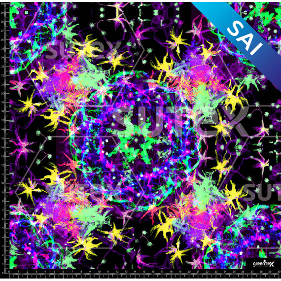 361369 COSMOS SAI FS