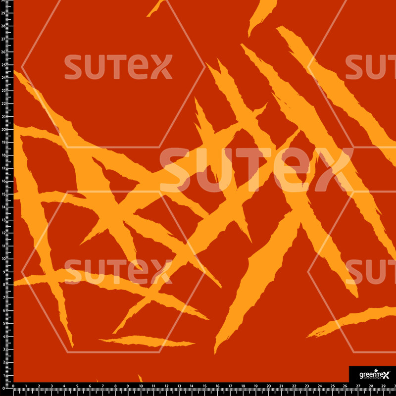 369805 ML RASGUTIGER ML