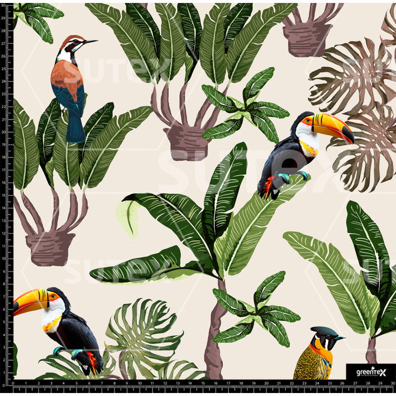 367417 AR FAUNA TROPICAL 02 AR