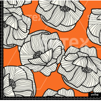 368478 AR FLOR RAYADA 2 AR