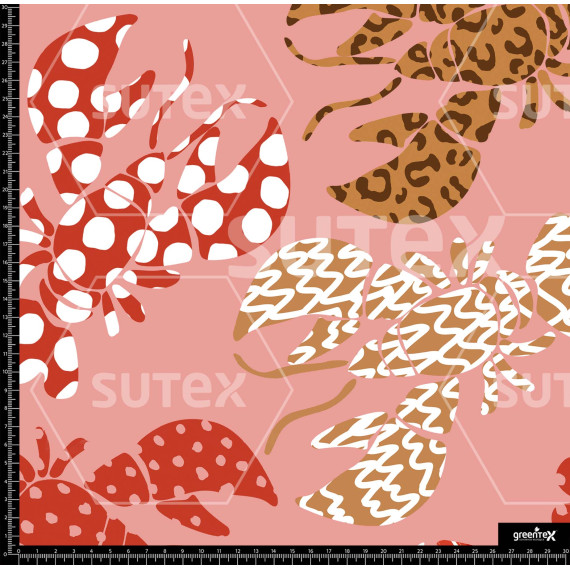 369145 BB LOBSTERS 1 MIX B