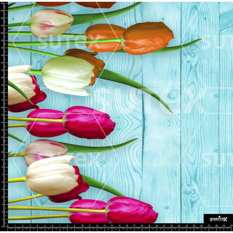 370729 BB BORDERTULI 1 B