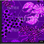 370868 BB LOBSTERS 1 MIX MOD 1 B