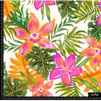 368645 TROPICAL COLORS Z