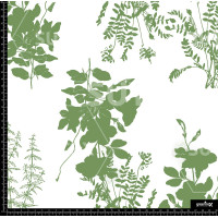 369151 FLORES SILUETAS ILUS Z