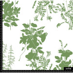 369151 FLORES SILUETAS ILUS Z