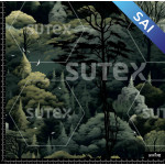 371276 SAI BOSQUE SOMBRIO SAI ML