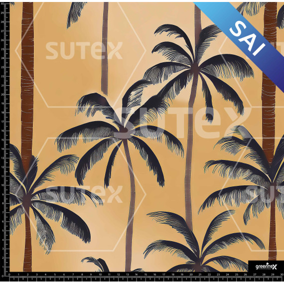 371234 XX PALM ATARDECER SAI X