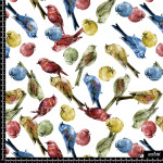 370529 AQ COLORFUL BIRDS AQ