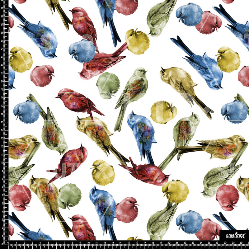 370529 AQ COLORFUL BIRDS AQ