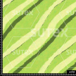 371554 AQ ABSTRACT GREEN LINES AQ