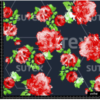 371994 BB ROSAROJA 1 B