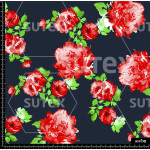 371994 BB ROSAROJA 1 B