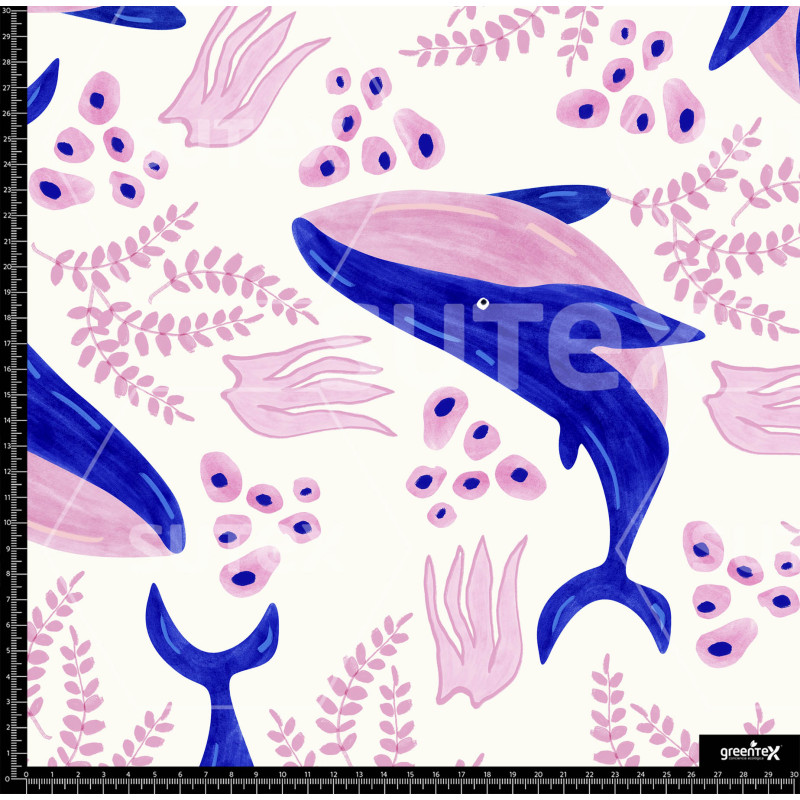 371433 BB BALLENAS CORAL 1 B