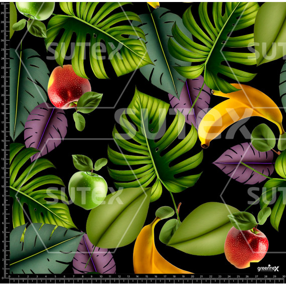372739 AR BODERAM TROPICO 03 AR