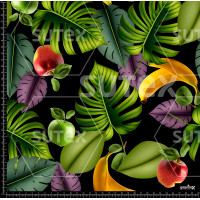 372739 AR BODERAM TROPICO 03 AR