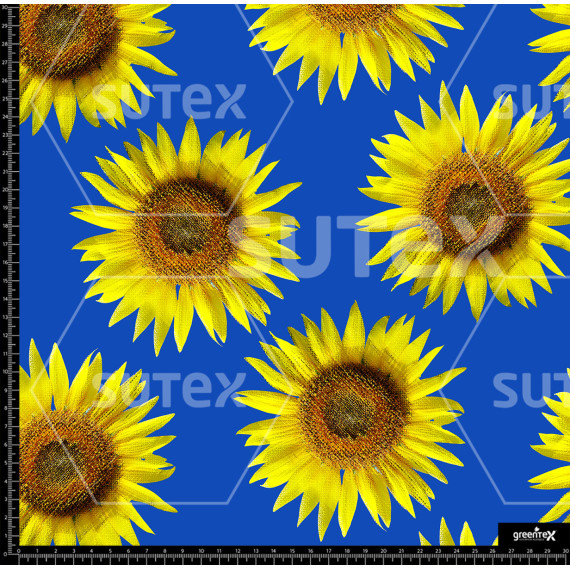 372823 AR GIRASOL AMAR12 AR