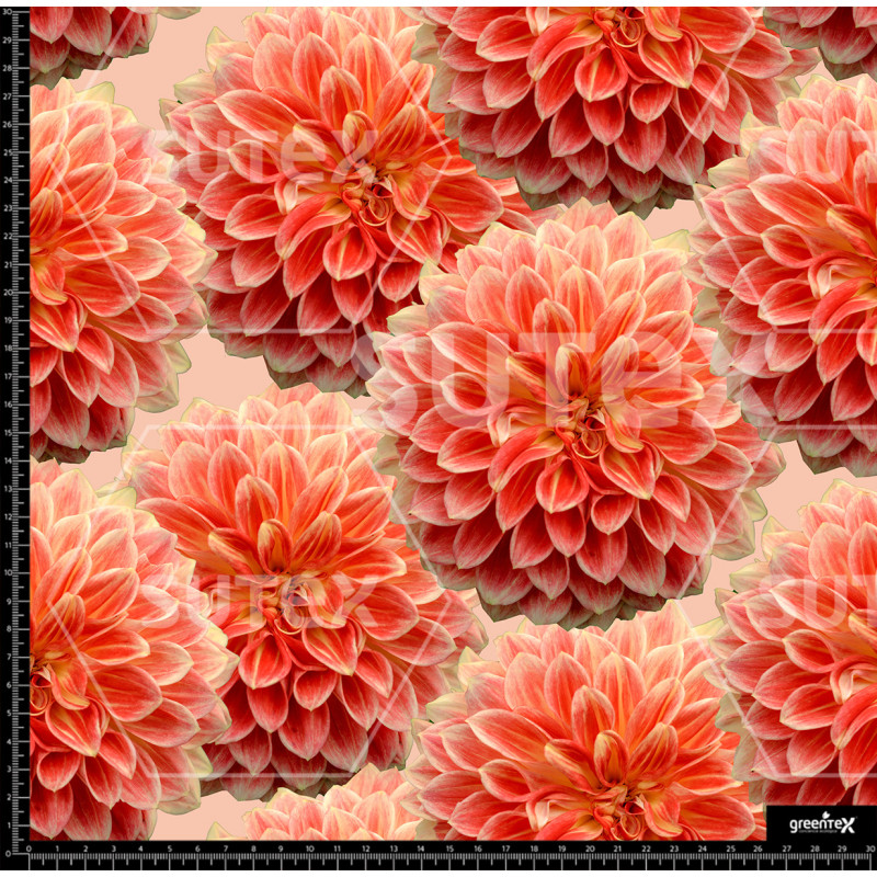 372807 AR FLOR PUNTUAL AR