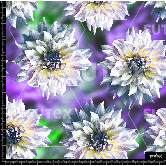 372804 AR ROSALIAL COLORE AR