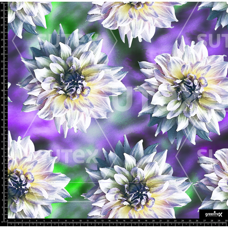 372804 AR ROSALIAL COLORE AR