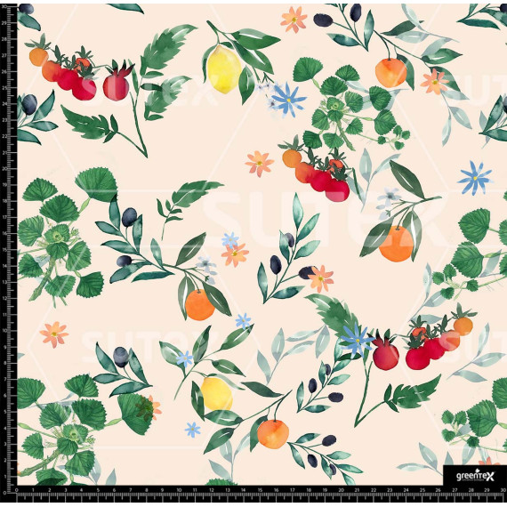 372173 FRUTAS VINTAGE Z