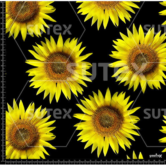 372800 AR GIRASOL AMAR1 AR