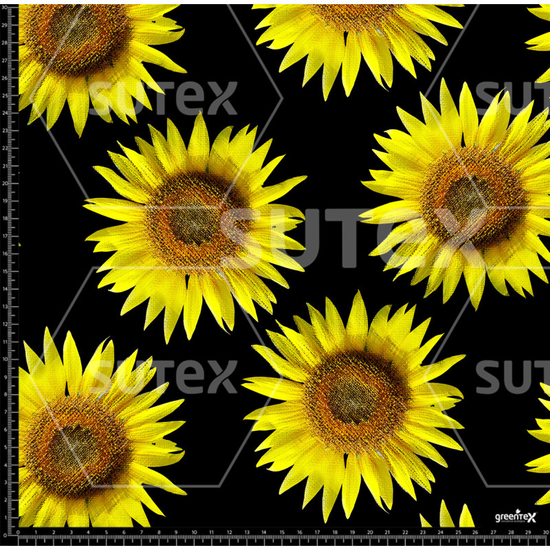 372800 AR GIRASOL AMAR1 AR