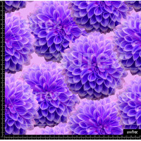 372826 AR FLOR PUNTUAL MOR AR