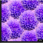 372826 AR FLOR PUNTUAL MOR AR