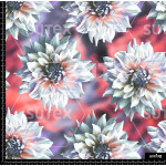 372829 AR ROSALIAL COLORE ROS AR