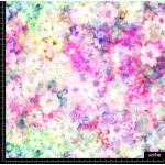 372830 AR JARDIN COLORE BRILL AR