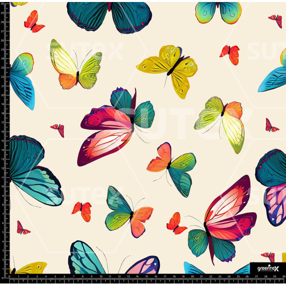 372847 AR MARIPOSAS TOLIS AR