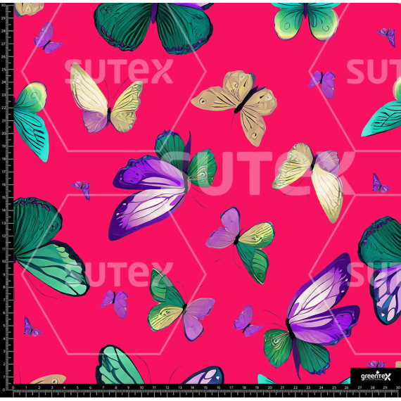372863 AR MARIPOSAS TOLIS 02 AR