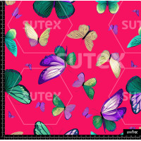 372863 AR MARIPOSAS TOLIS 02 AR