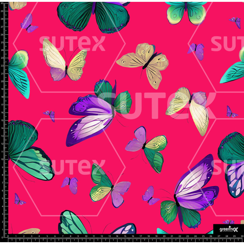 372863 AR MARIPOSAS TOLIS 02 AR