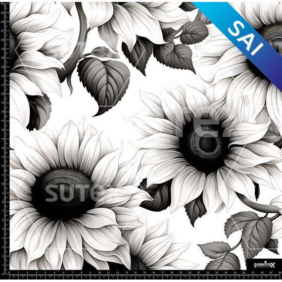 372945 SAI GIRASOL LAPIZ AR