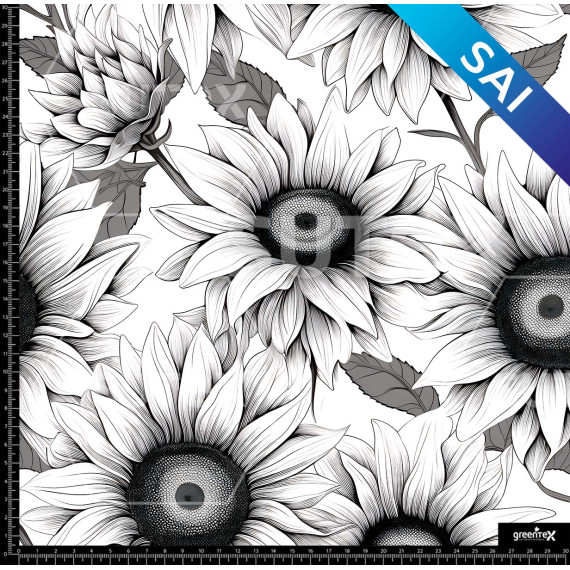 372946 SAI GIRASOL LAPIZ 2 AR