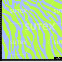 372958 LINEAS EN ZEBRA NEON Z