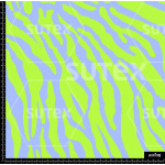 372958 LINEAS EN ZEBRA NEON Z