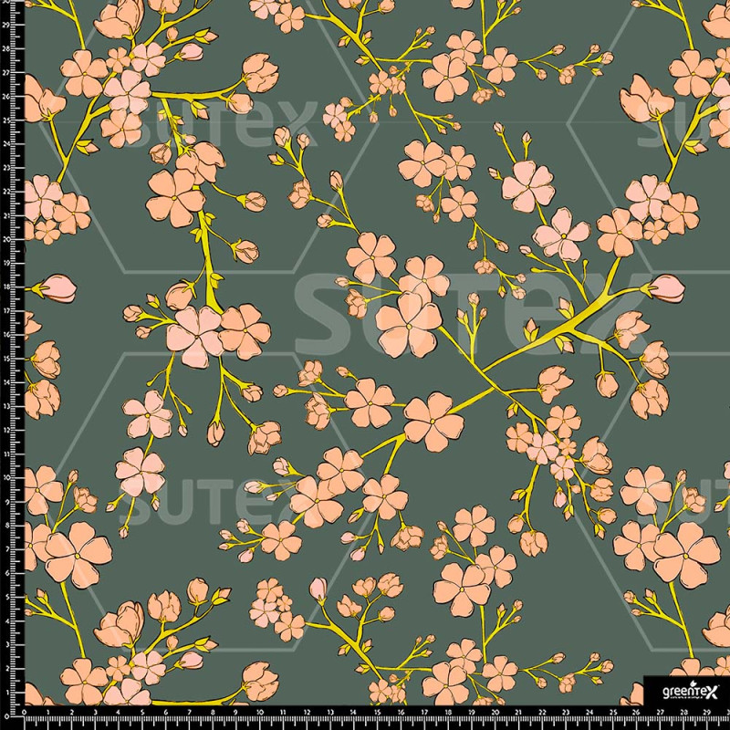 373458 ER NATURALMENTE MANDARINA ER
