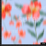 373472 ER PRIMAVERAL DIFUZA ER